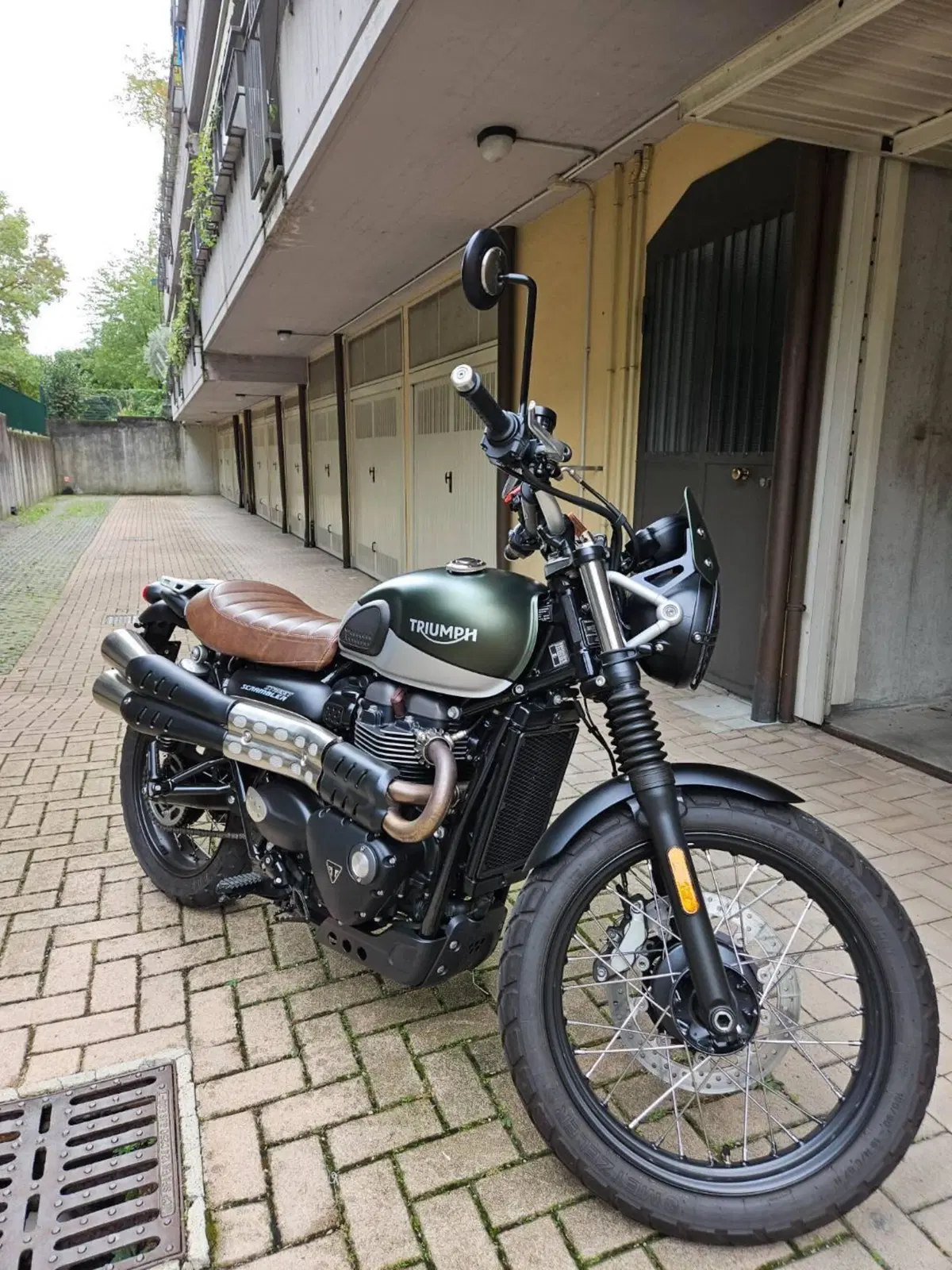 Triumph Street Scrambler 900 (2021 - 22) (2)