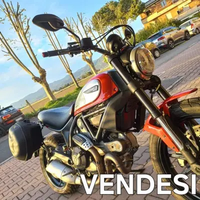 Ducati Scrambler 800 Icon (2015 - 16) usata