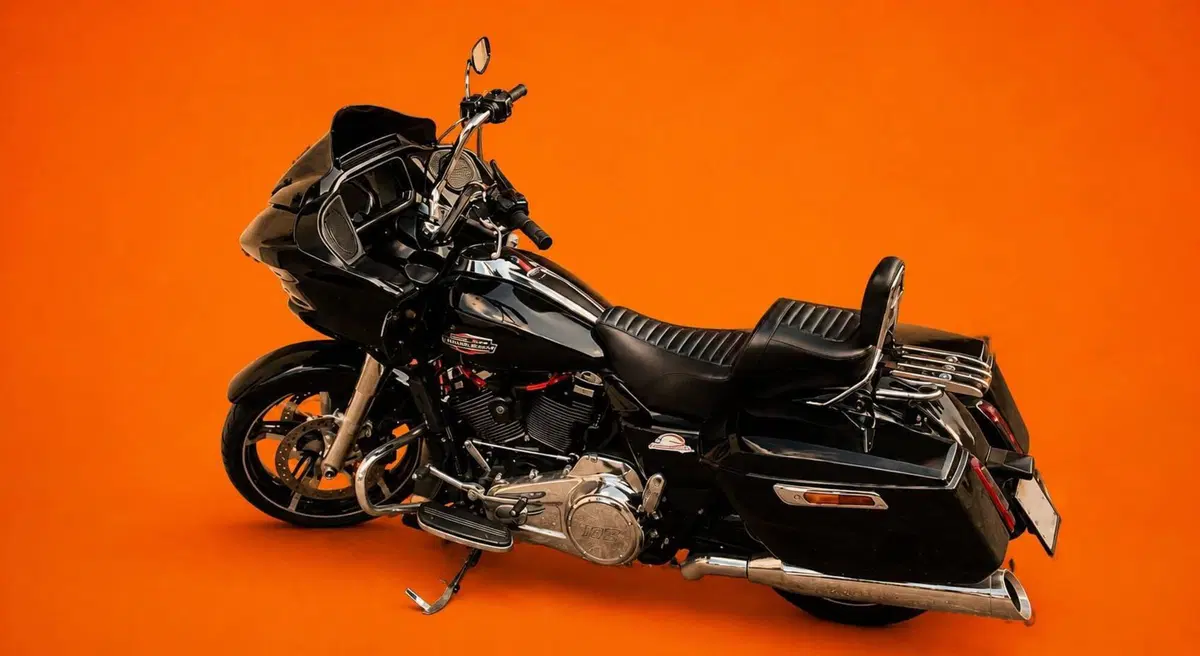 Harley-Davidson Road Glide (2024 - 26) (2)