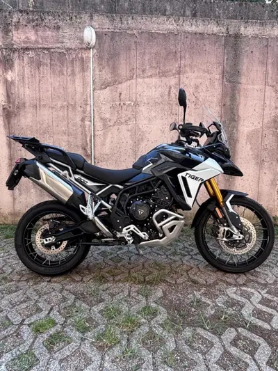 Triumph Tiger 900 Rally Pro (2024 - 26) usata