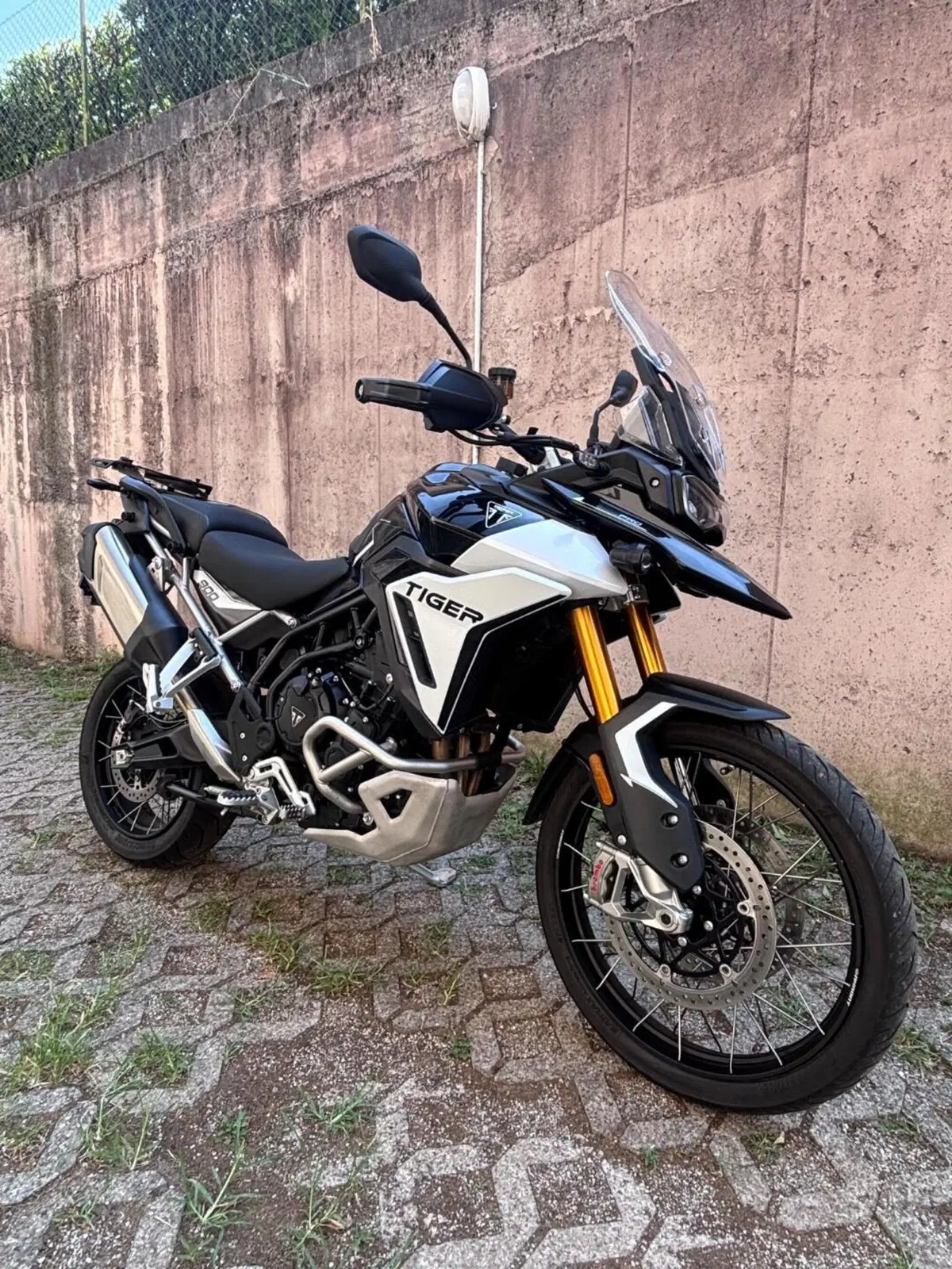 Triumph Tiger 900 Rally Pro (2024 - 26) (2)