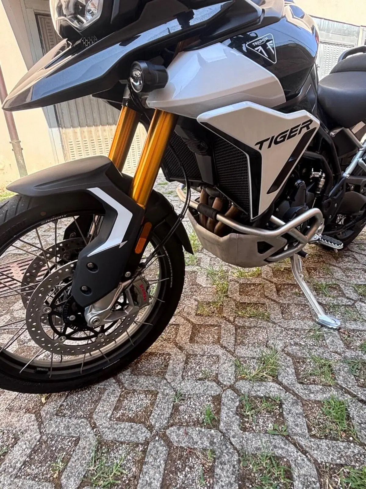 Triumph Tiger 900 Rally Pro (2024 - 26) (3)