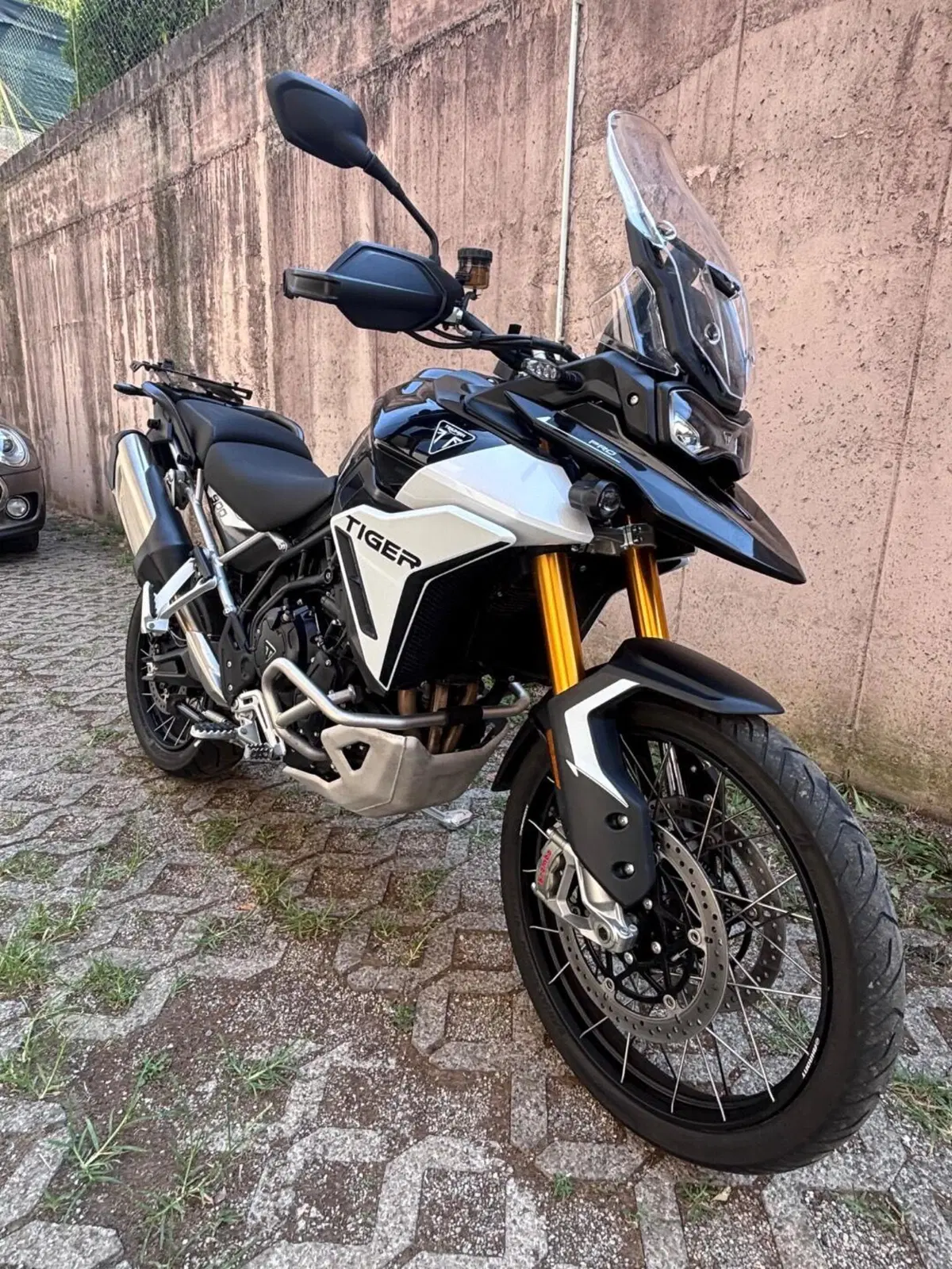 Triumph Tiger 900 Rally Pro (2024 - 26) (6)