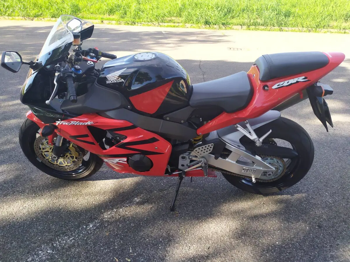 Honda CBR 900 RR Fireblade (2002 - 04) (6)