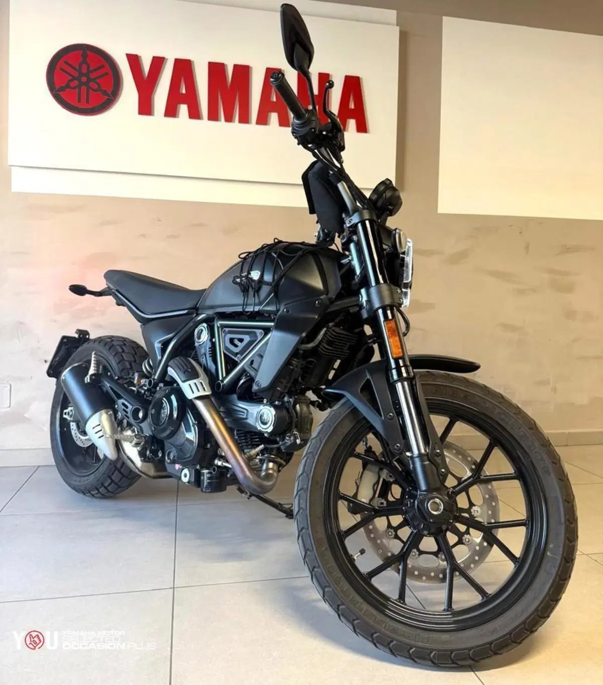 Ducati Scrambler 800 Icon (2025 - 26) (5)