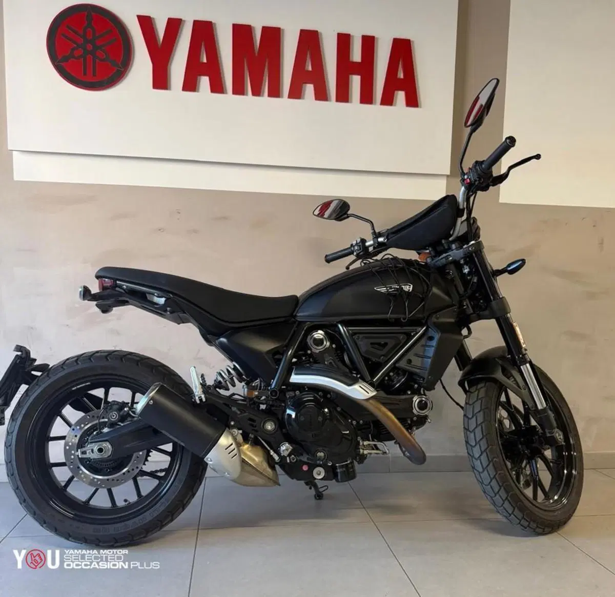Ducati Scrambler 800 Icon (2025 - 26) (10)