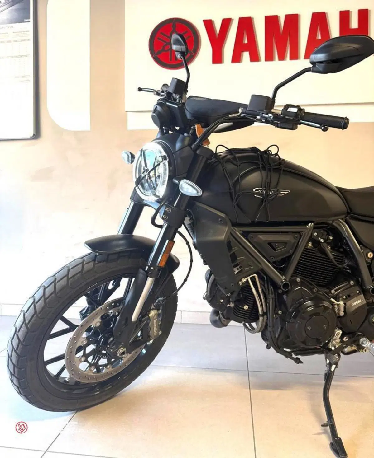 Ducati Scrambler 800 Icon (2025 - 26) (2)