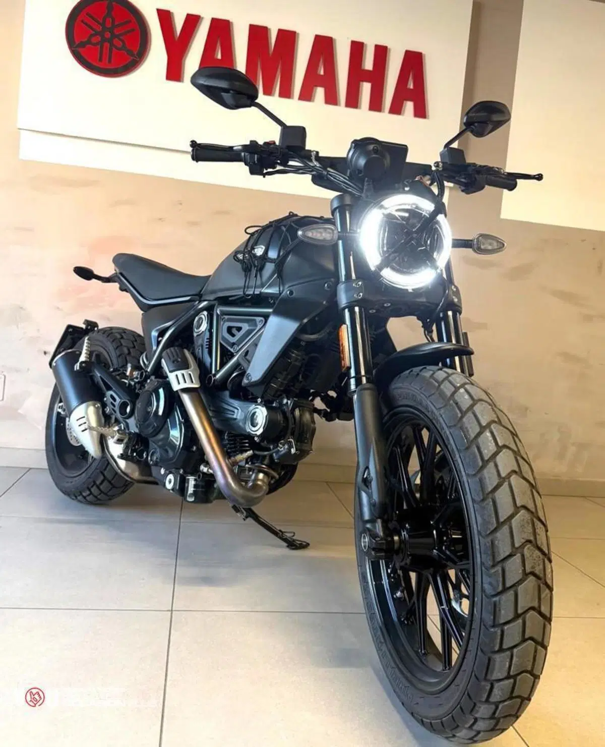 Ducati Scrambler 800 Icon (2025 - 26) (11)