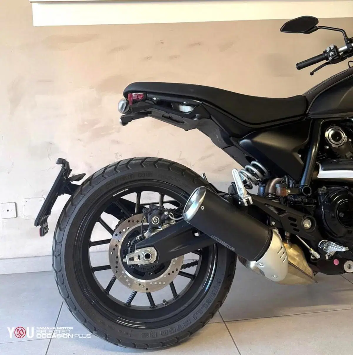Ducati Scrambler 800 Icon (2025 - 26) (6)