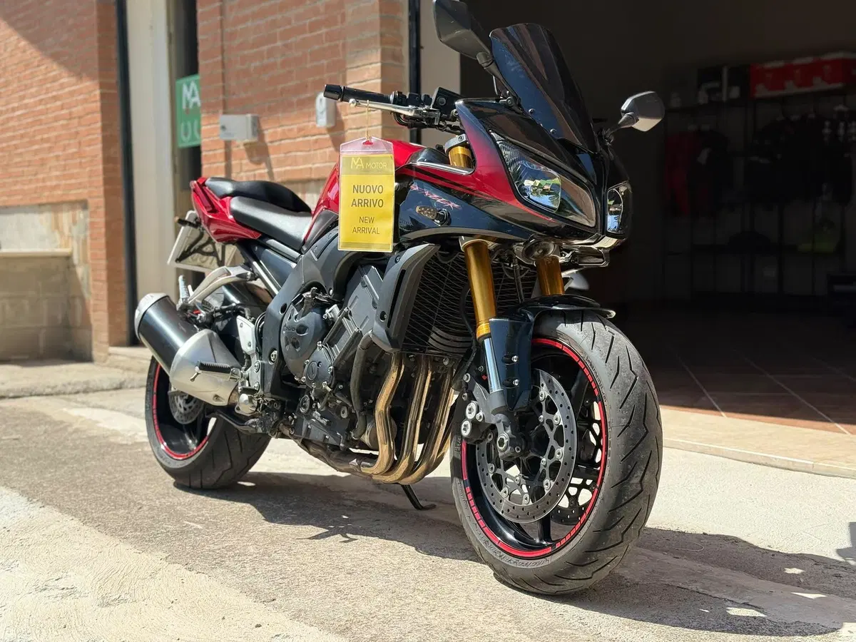 Yamaha FZ1 Fazer (2006 - 16) (2)