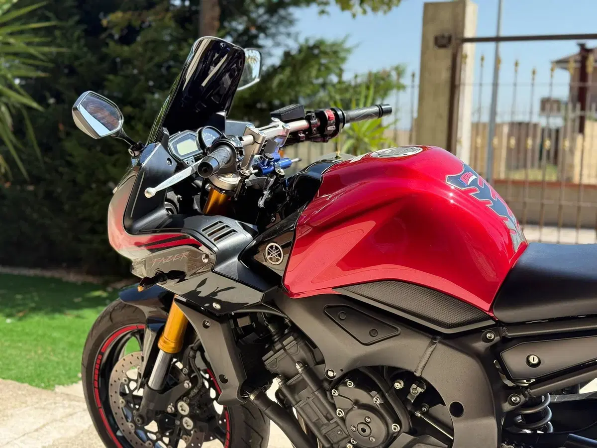 Yamaha FZ1 Fazer (2006 - 16) (3)