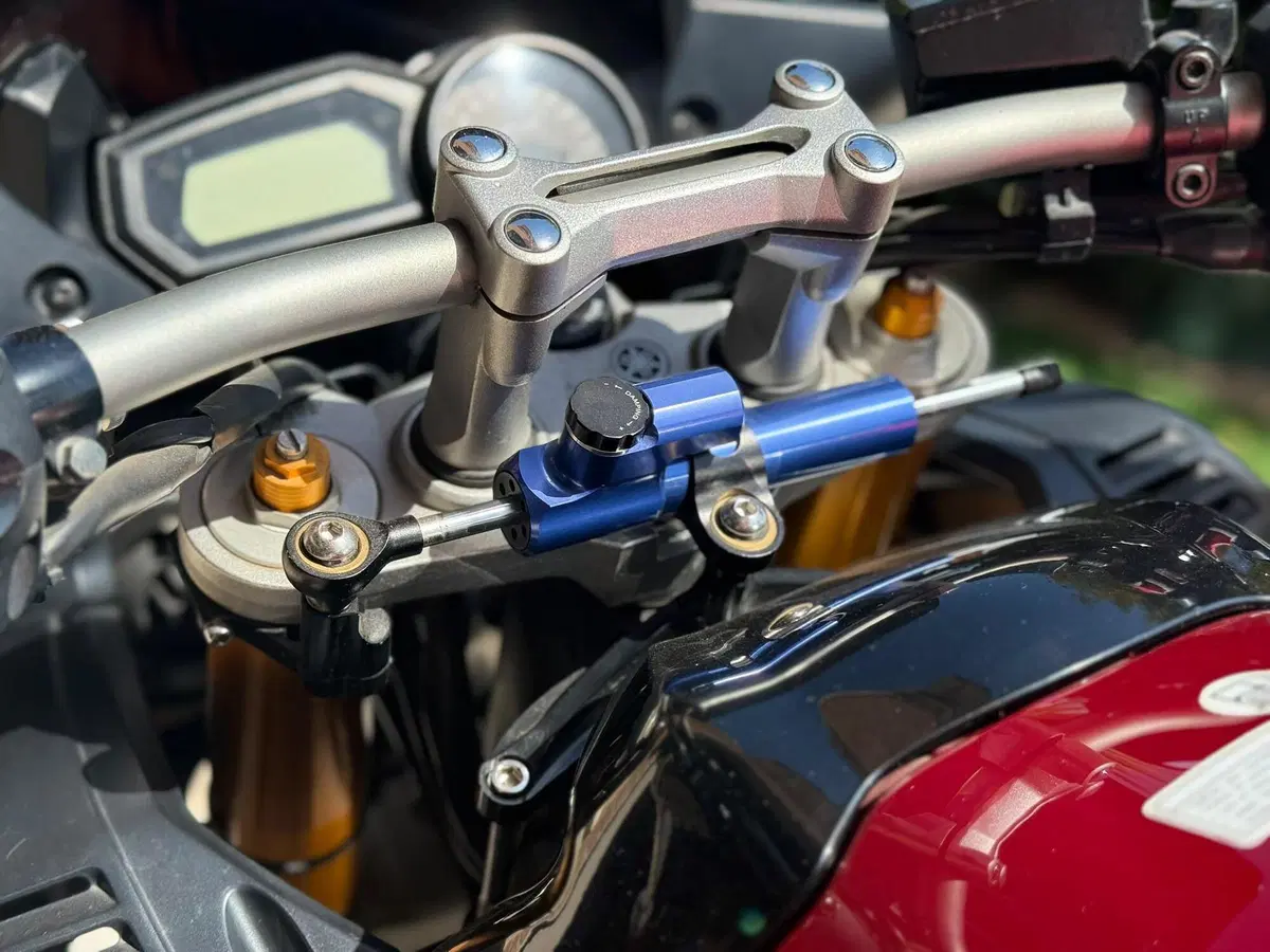 Yamaha FZ1 Fazer (2006 - 16) (7)