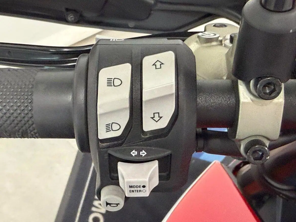 Ducati Hypermotard 950 SP (2019 - 20) (8)