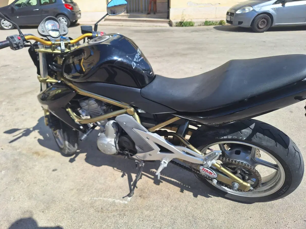 Kawasaki ER-6N (2005 - 08) (2)