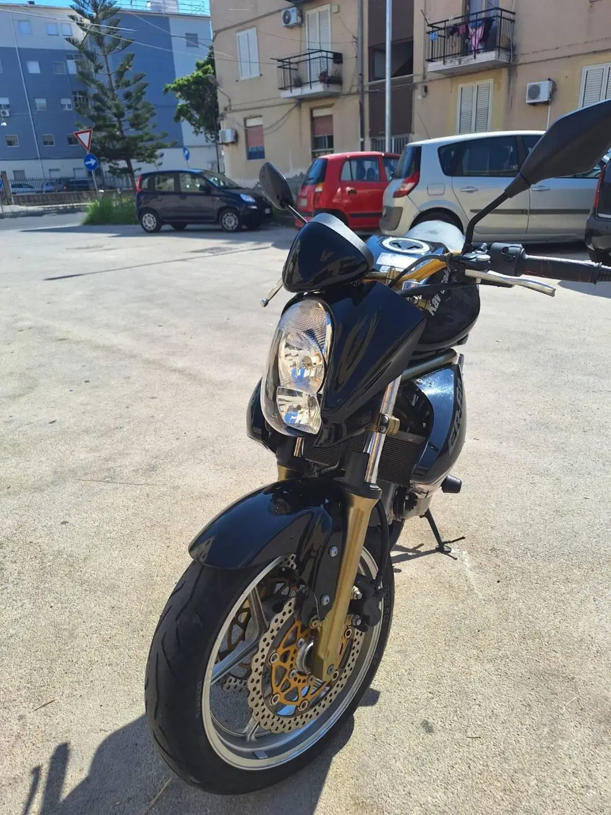 Kawasaki ER-6N (2005 - 08) (3)