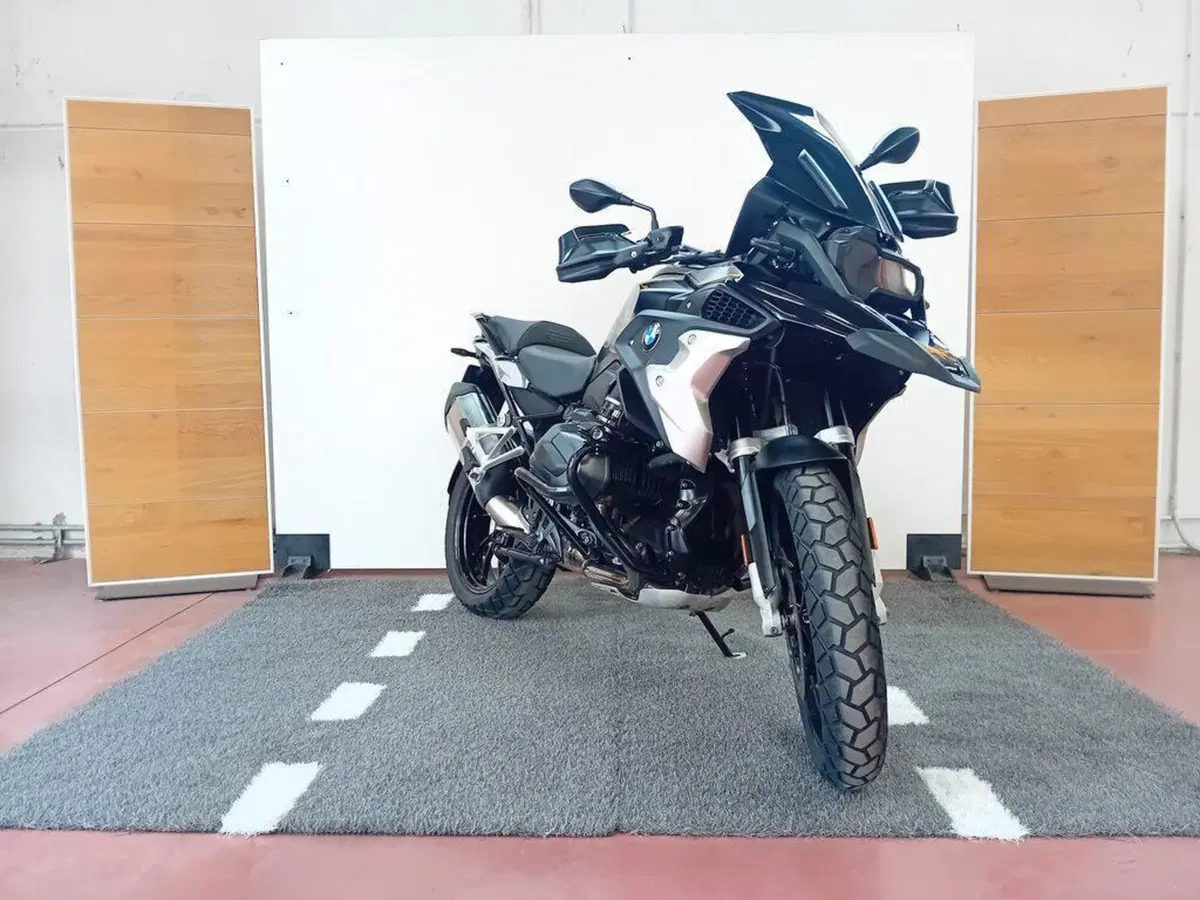 Bmw R 1250 GS (2019 - 20) (2)