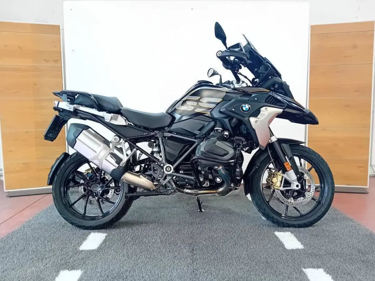 Bmw R 1250 GS (2019 - 20) (4)