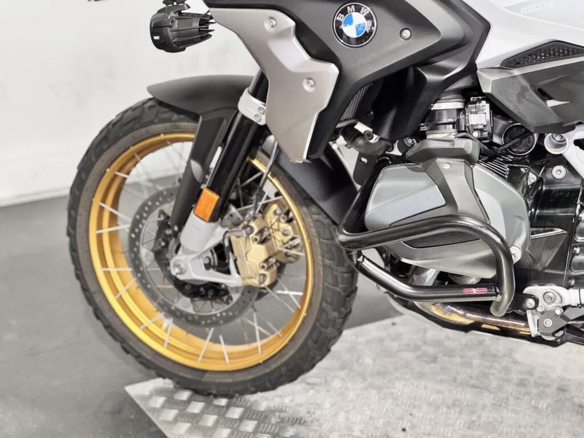 Bmw R 1250 GS (2021 - 24) (7)