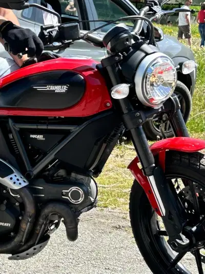 Ducati Scrambler 800 Icon (2015 - 16) usata