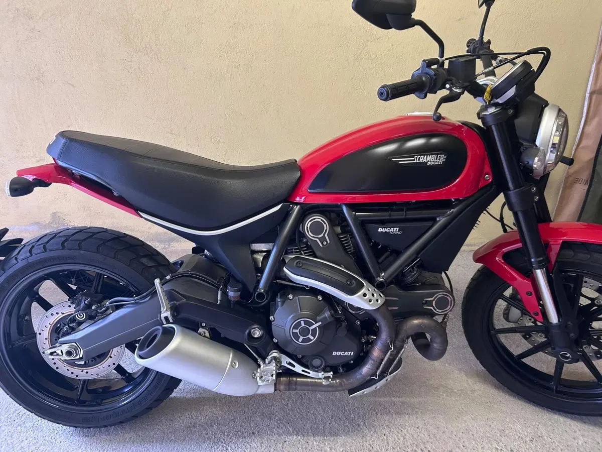 Ducati Scrambler 800 Icon (2015 - 16) (5)
