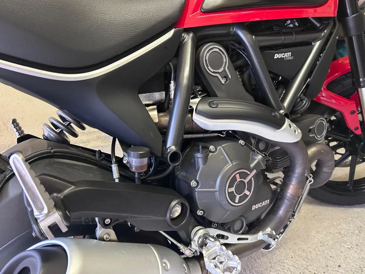 Ducati Scrambler 800 Icon (2015 - 16) (6)