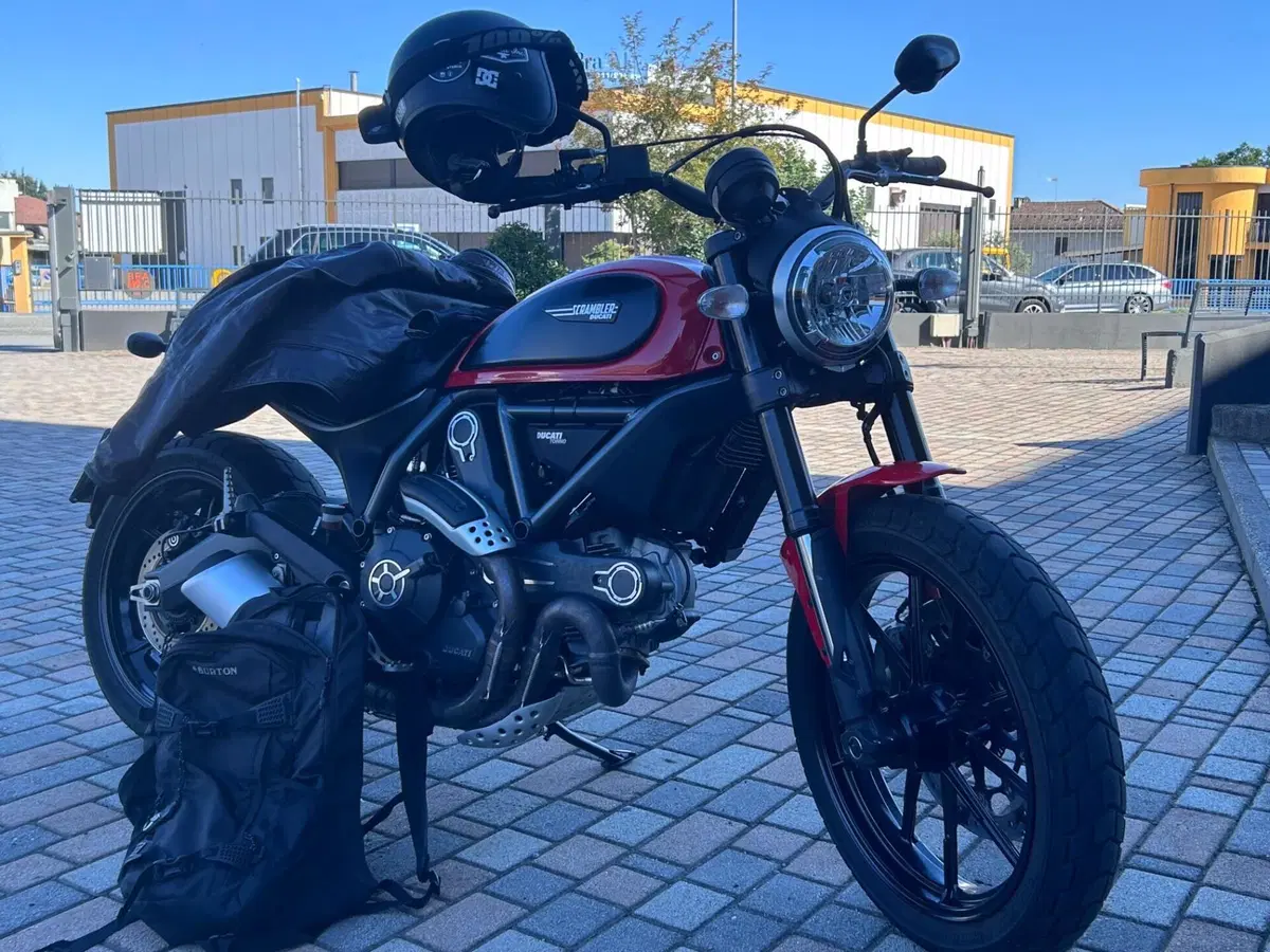 Ducati Scrambler 800 Icon (2015 - 16) (10)
