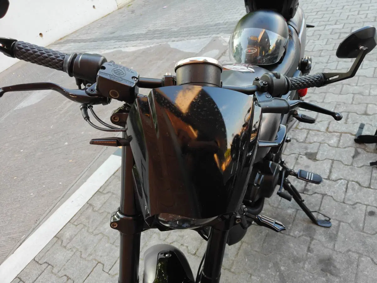 Harley-Davidson 750 Street Rod (2017 - 20) - XG 750 (11)