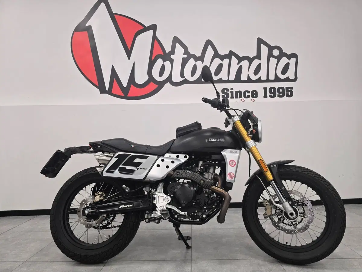 Fantic Motor Caballero 500 Flat Track (2018 - 21) (4)