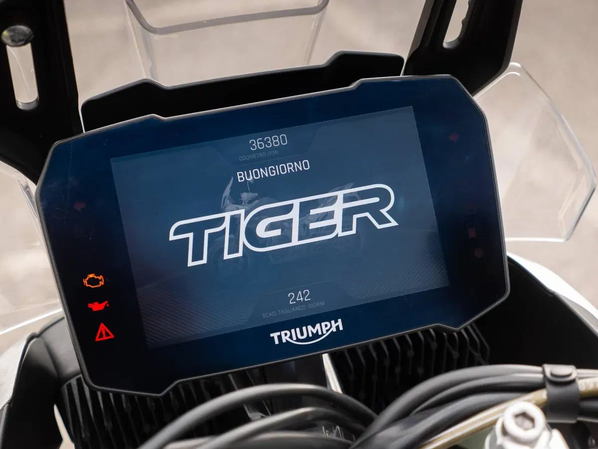 Triumph Tiger 900 Rally Pro (2020 - 23) (10)
