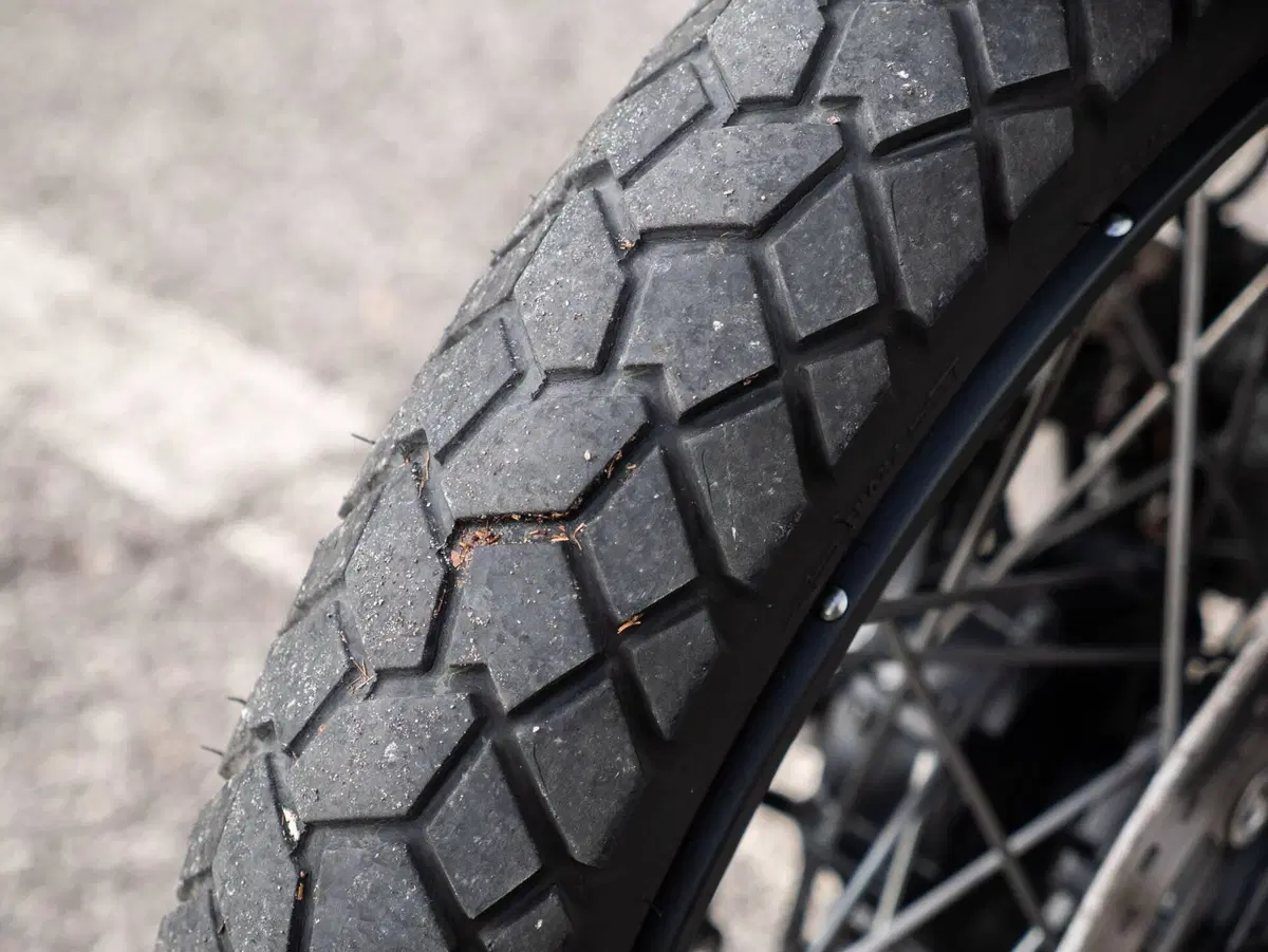Triumph Tiger 900 Rally Pro (2020 - 23) (19)