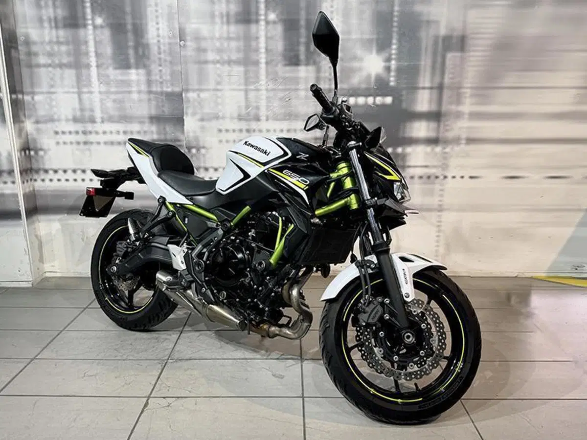Kawasaki Z 650 (2020)