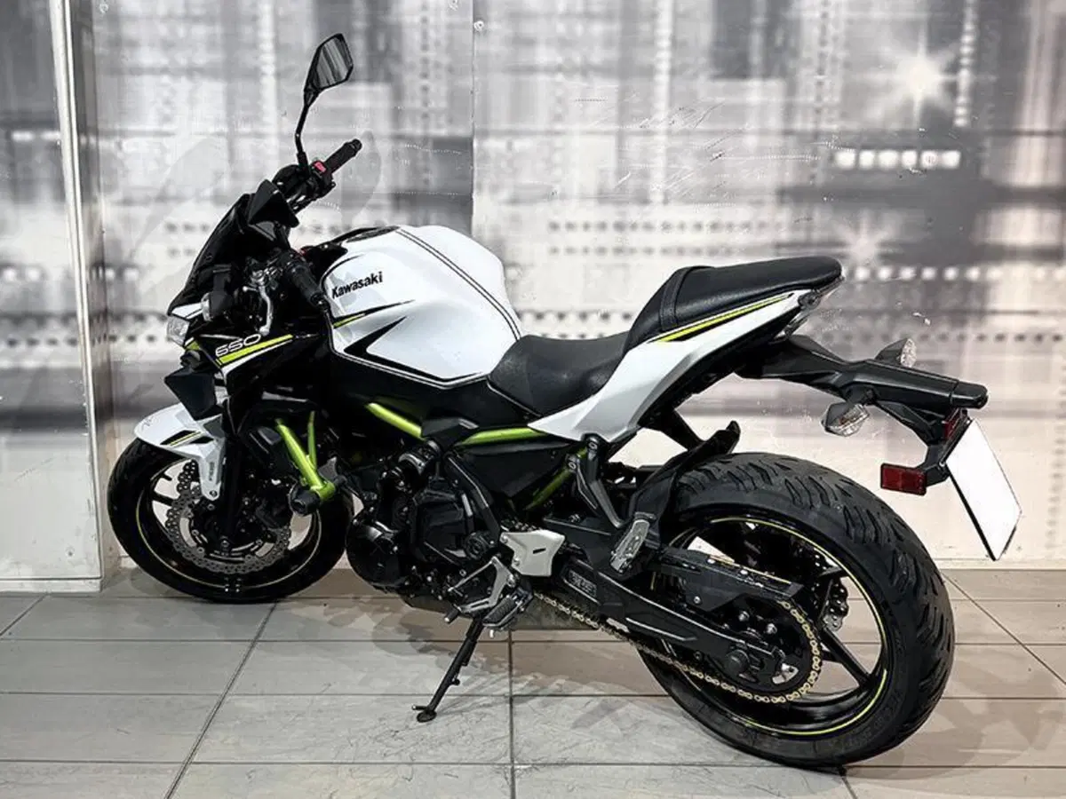 Kawasaki Z 650 (2020) (2)