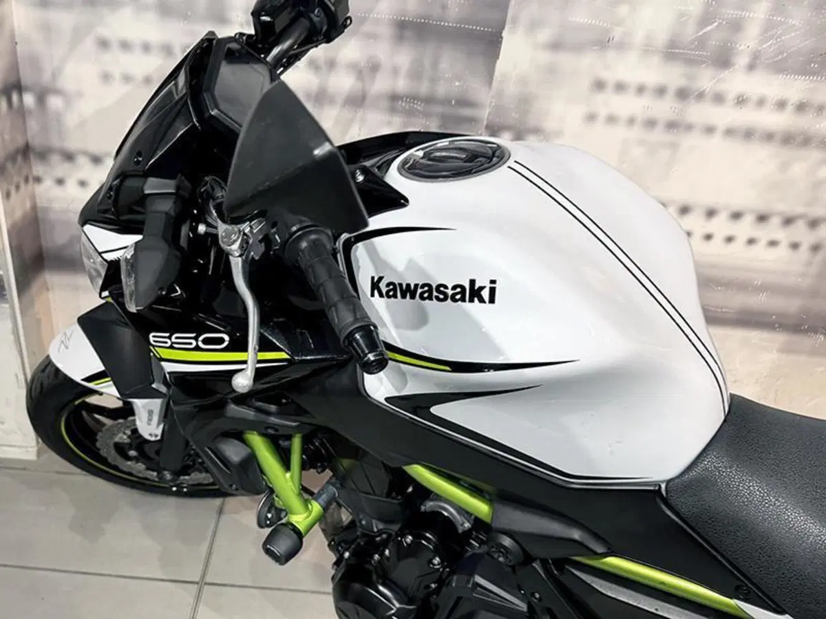Kawasaki Z 650 (2020) (4)