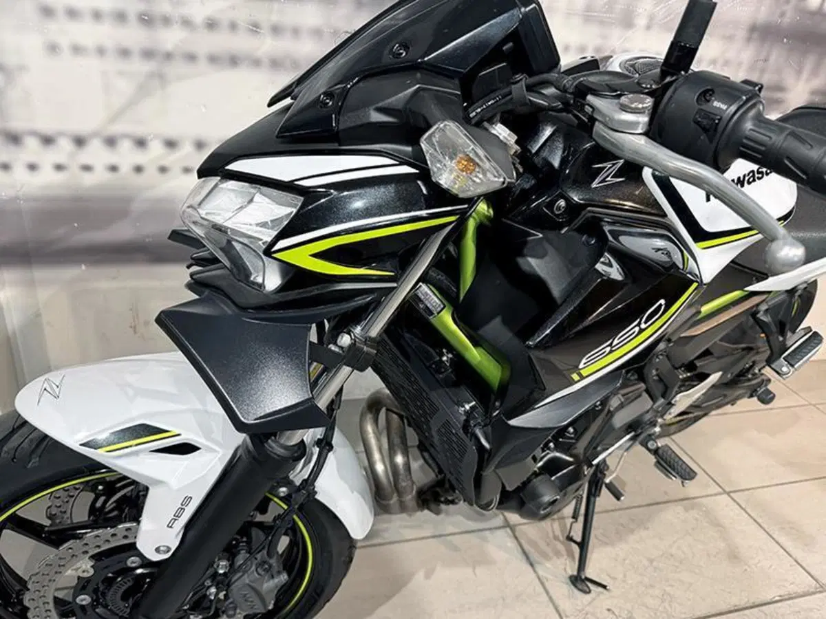 Kawasaki Z 650 (2020) (5)