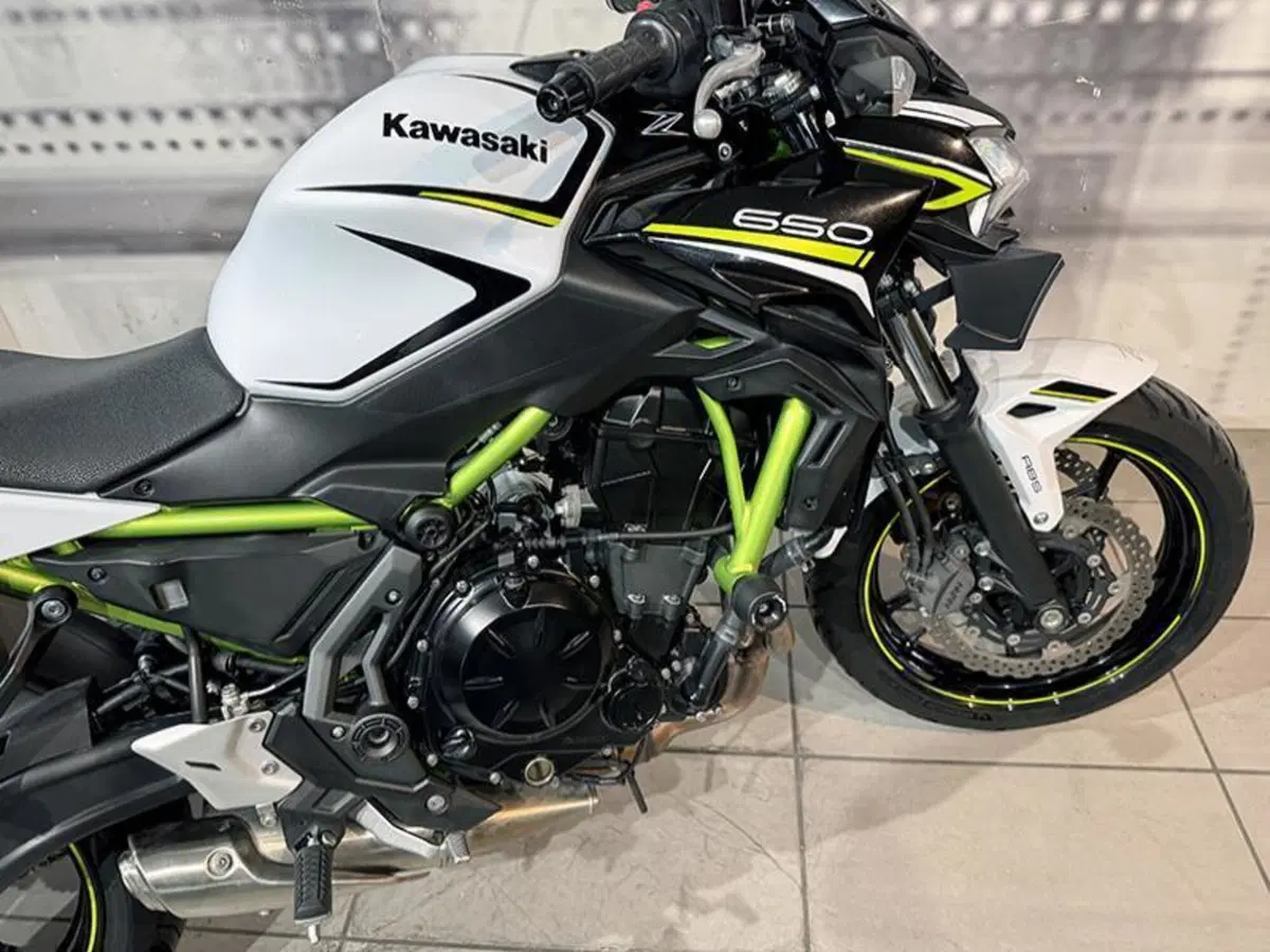 Kawasaki Z 650 (2020) (8)