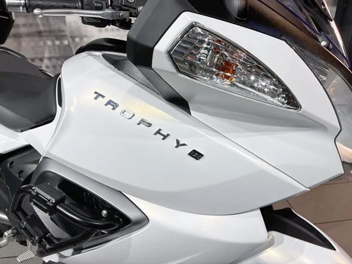 Triumph Trophy 1200 ABS (2012 - 15) (7)