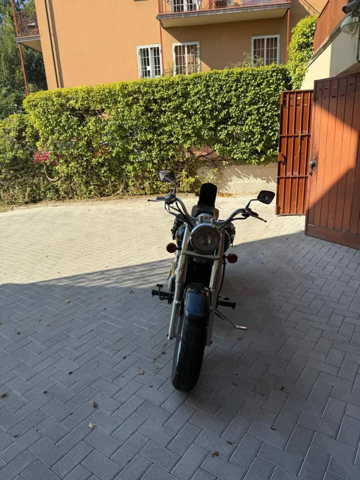 Kawasaki VN 800 Classic (2001 - 06)