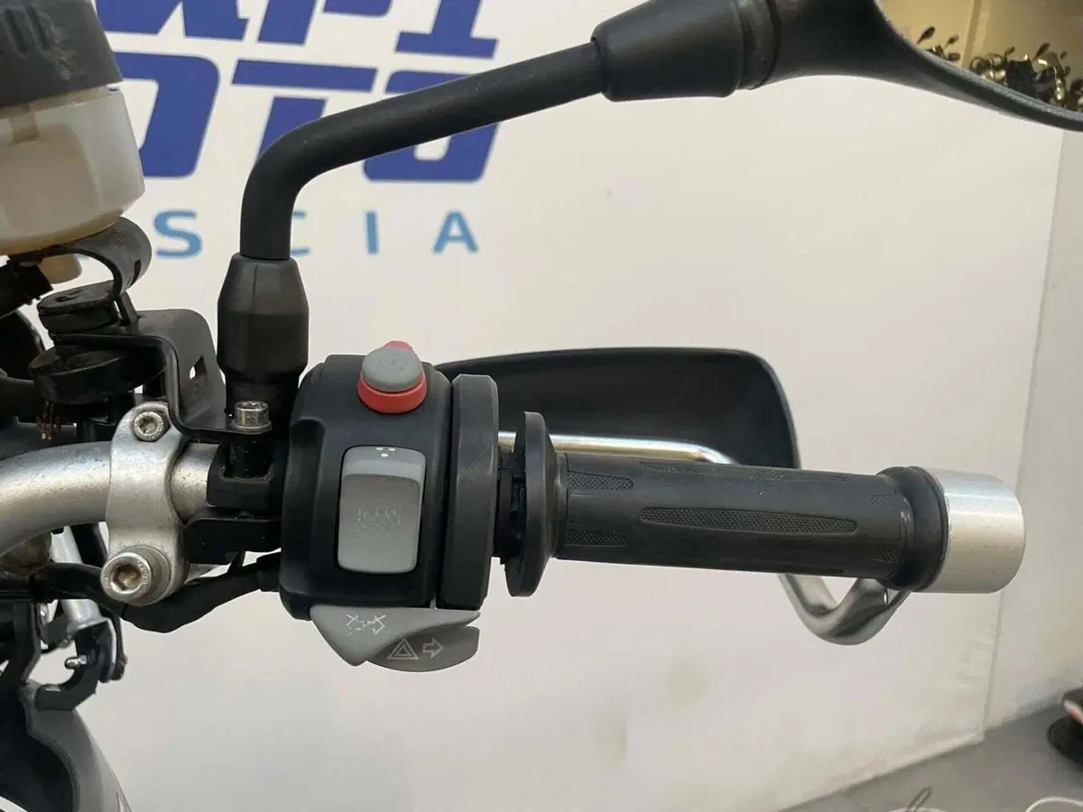 Bmw F 800 GS (2008 - 15) (10)