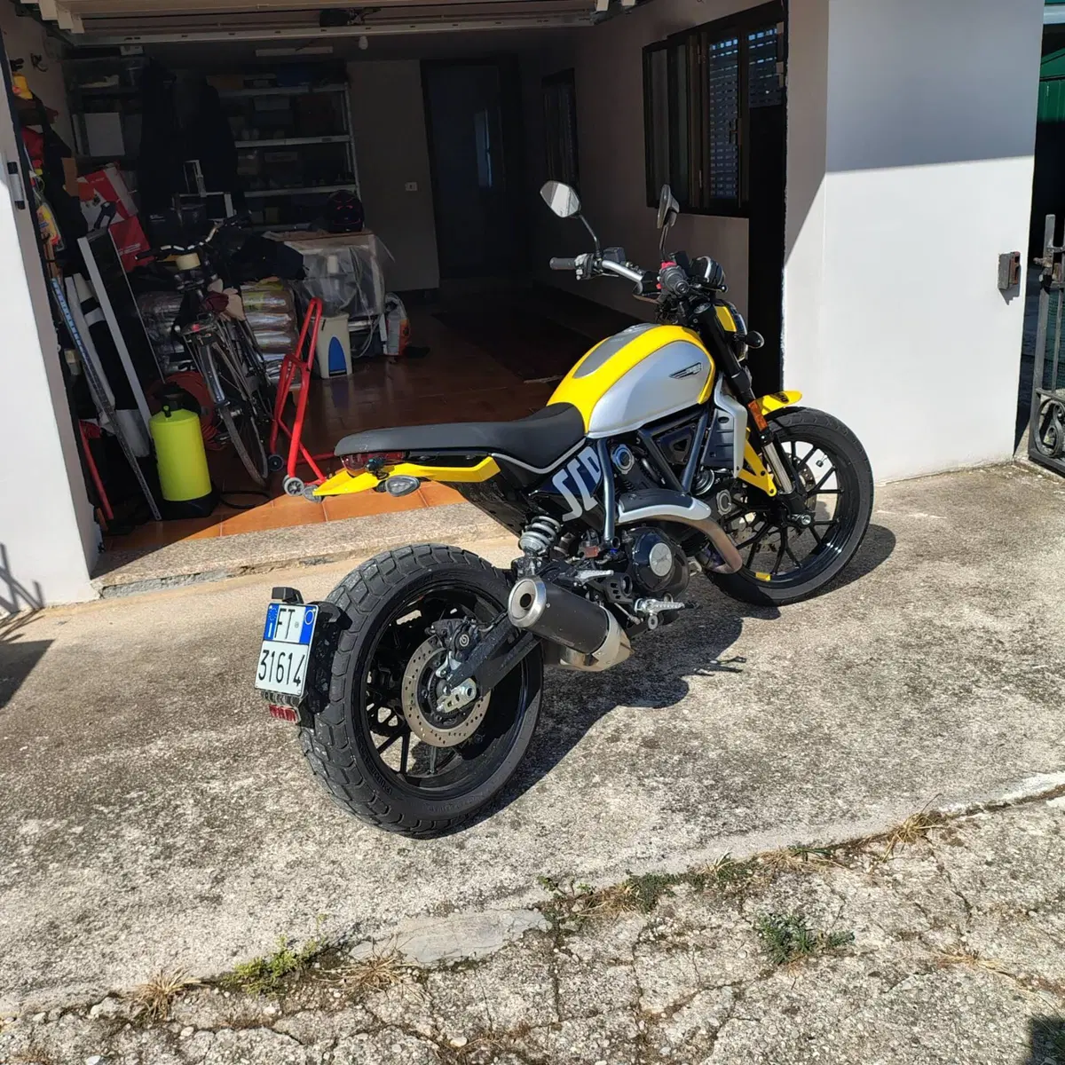 Ducati Scrambler 800 Icon (2025 - 26) (3)