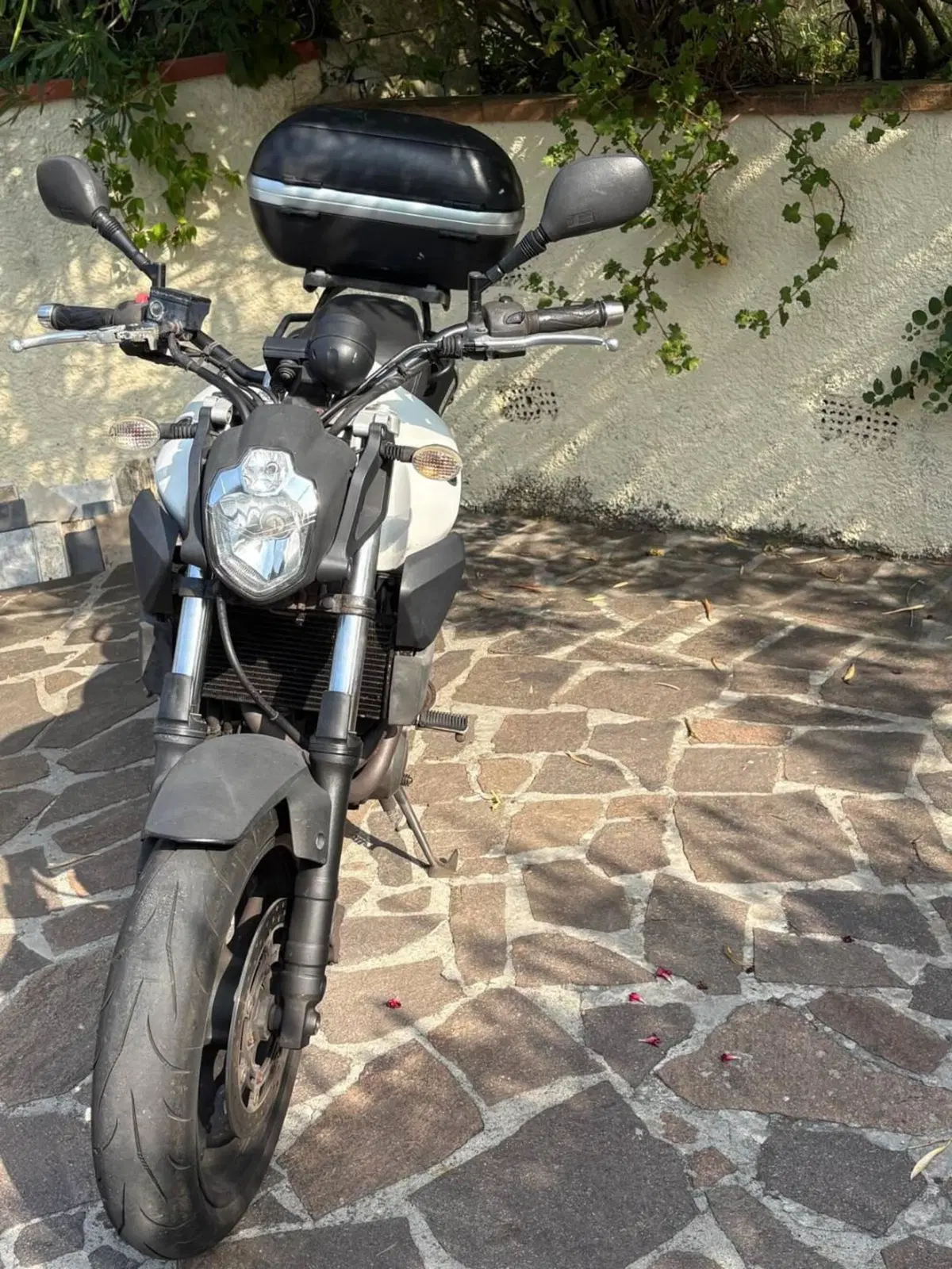 Yamaha MT-03 (2006 - 14) (2)