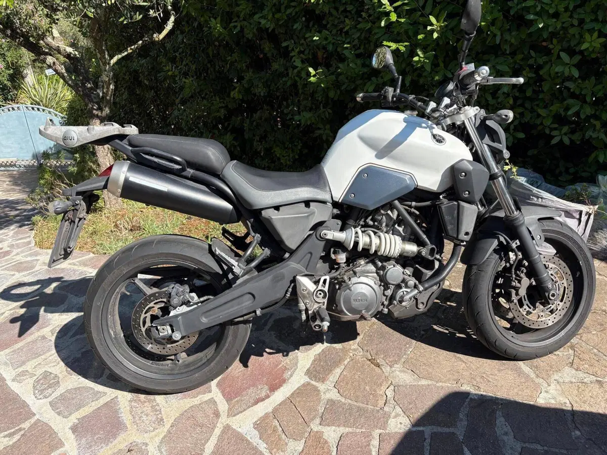 Yamaha MT-03 (2006 - 14) (3)