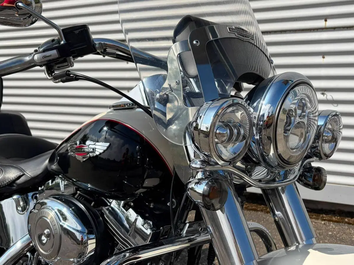 Harley-Davidson 1585 Softail Deluxe (2011) - FLSTN (3)