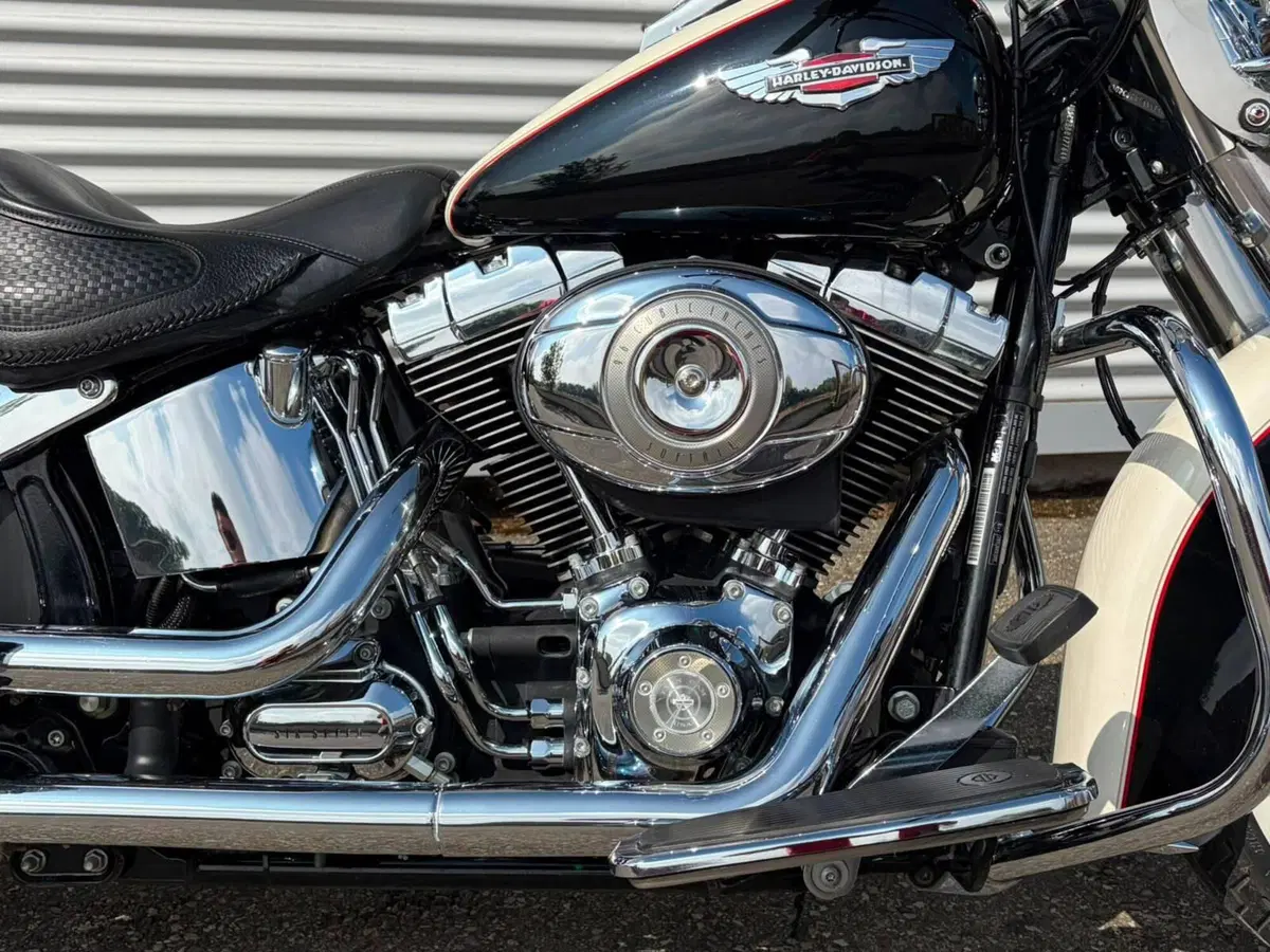 Harley-Davidson 1585 Softail Deluxe (2011) - FLSTN (4)