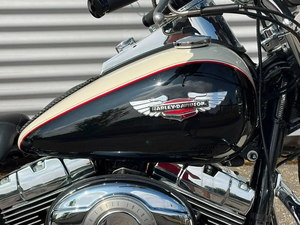 Harley-Davidson 1585 Softail Deluxe (2011) - FLSTN (5)