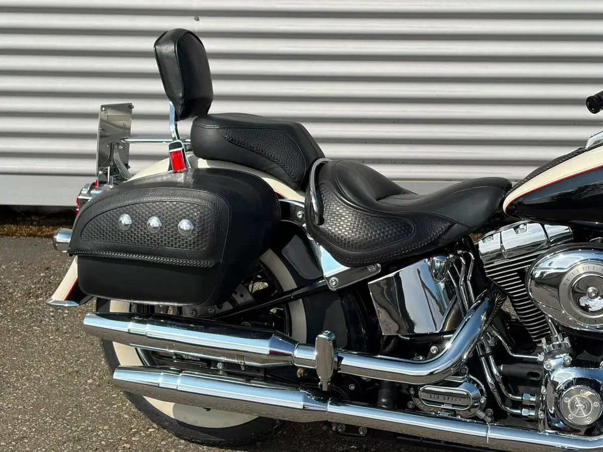 Harley-Davidson 1585 Softail Deluxe (2011) - FLSTN (6)