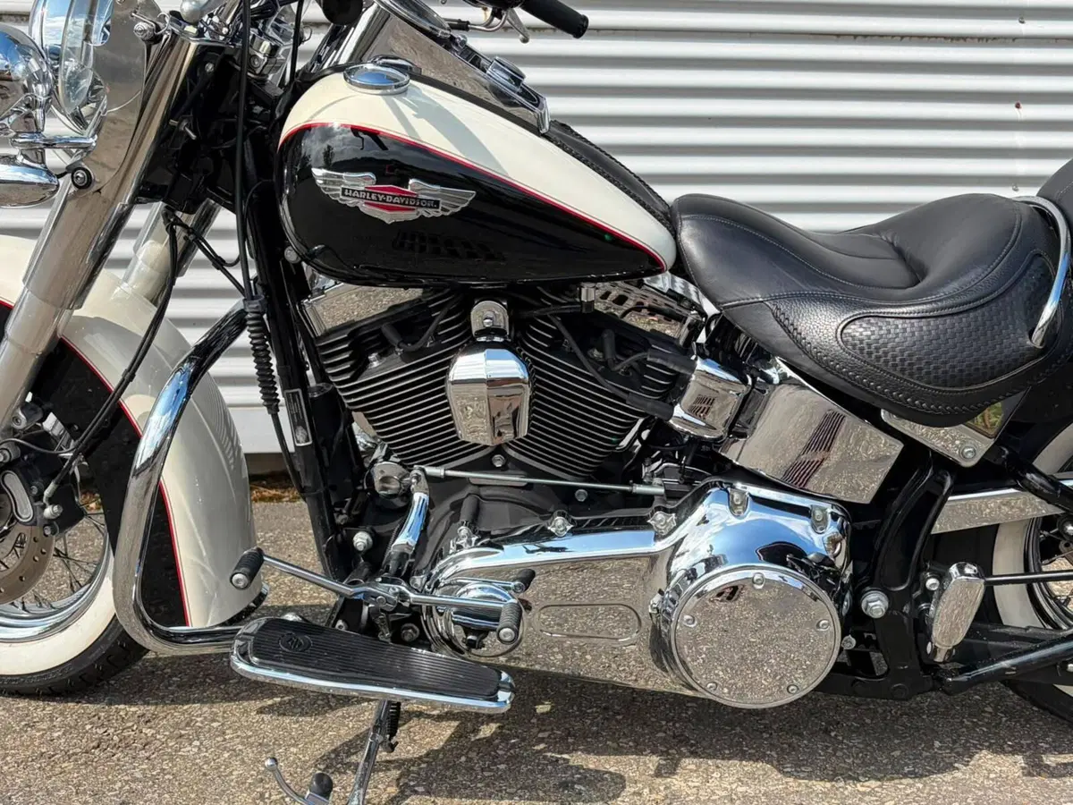 Harley-Davidson 1585 Softail Deluxe (2011) - FLSTN (13)