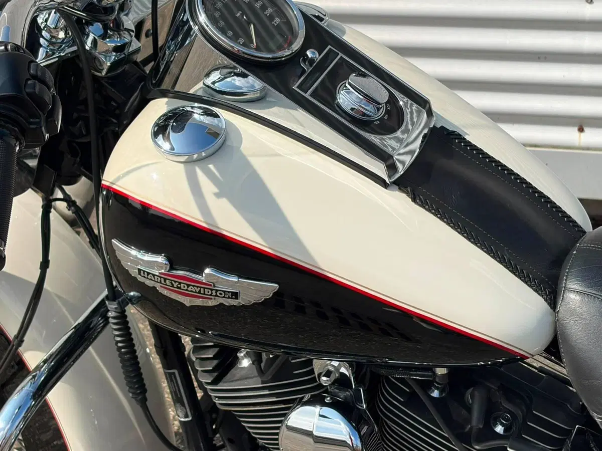 Harley-Davidson 1585 Softail Deluxe (2011) - FLSTN (16)