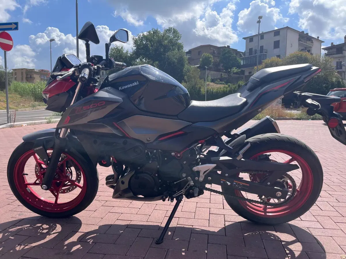Kawasaki Z 500 SE (2024 - 26) (3)