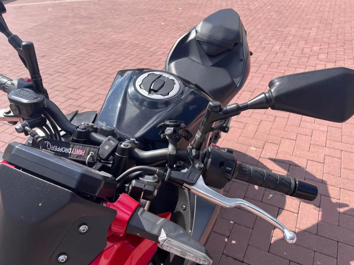 Kawasaki Z 500 SE (2024 - 26) (8)