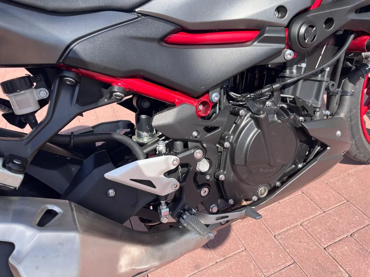 Kawasaki Z 500 SE (2024 - 26) (11)